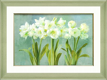 Artko - White Amaryllis Framed Picture. Click for a larger image