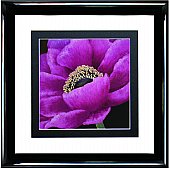 Artko - Brilliant Blooms I - Framed Art