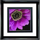 Artko - Brilliant Blooms II - Framed Art