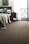 Simply Velvets Carpet: A luxurious range of 12 plain sumptuous velvet carpets in modern contempora ...click for more