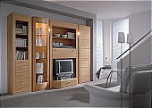 Hartmann - Axo Display Unit