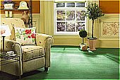  Chatsworth Velvet, from Ryalux
