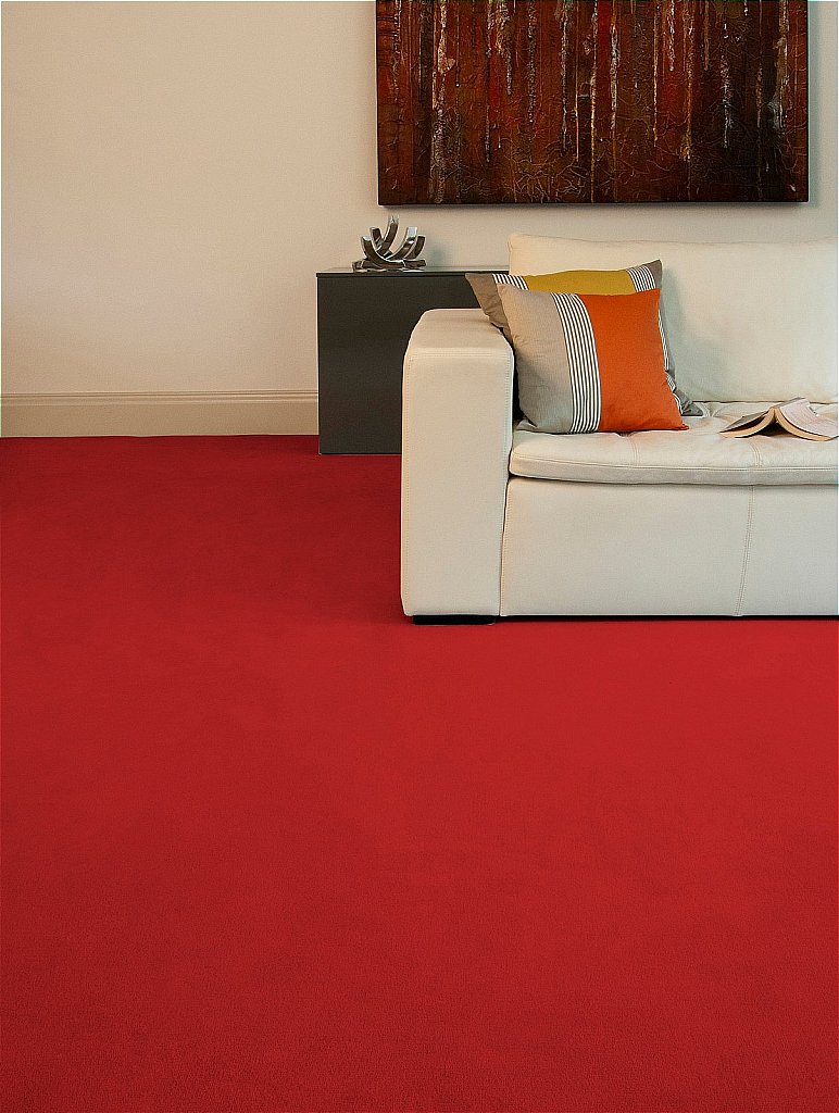 Westex Carpets Exquisite Velvet Carpet Barrow Clark