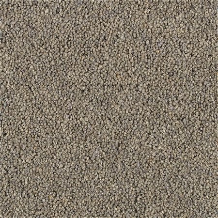 Penthouse Carpets - Shoreline Carpet