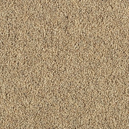Penthouse Carpets - Springtime Carpet
