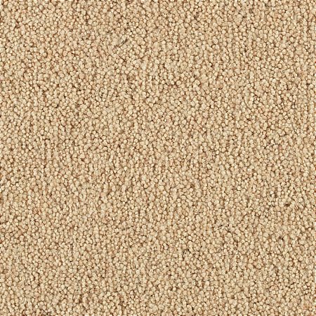 Penthouse Carpets - Vermont Carpet